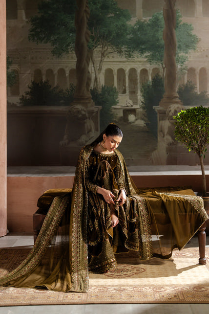 Naqshi | Nazleen Velvet | Danara - House Of Hania