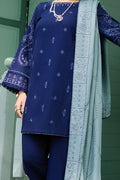 Naqshi | Nuri Khaddar Velvet Marina | Nourhan - House Of Hania
