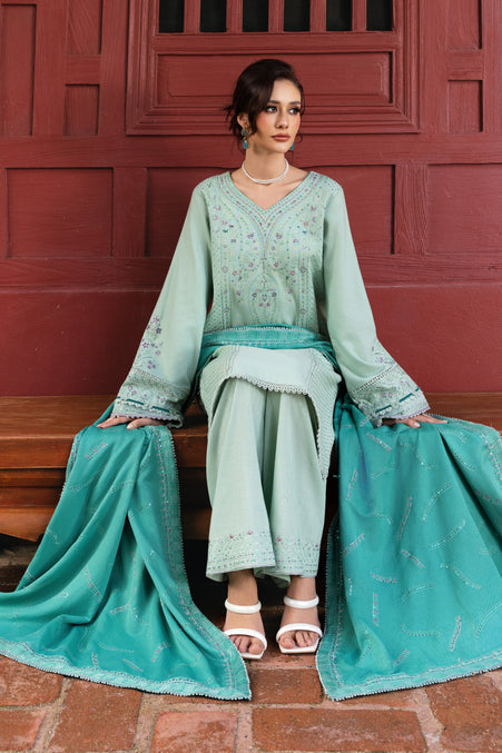 Naqshi | Nuri Khaddar Velvet Marina | Salsabeel - House Of Hania