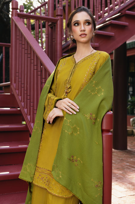 Naqshi | Nuri Khaddar Velvet Marina | Shanara - House Of Hania