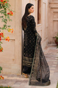 Naqshi | Sahiba Collection | Gul-e-Tesnim - House Of Hania