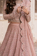 Naqshi | Sheenor Wedding Formals | Anzish - House Of Hania