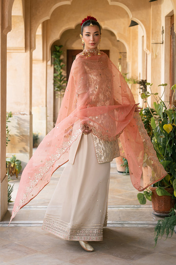 Naqshi | Tabeer Festive Dresses | Ablaaj - House Of Hania
