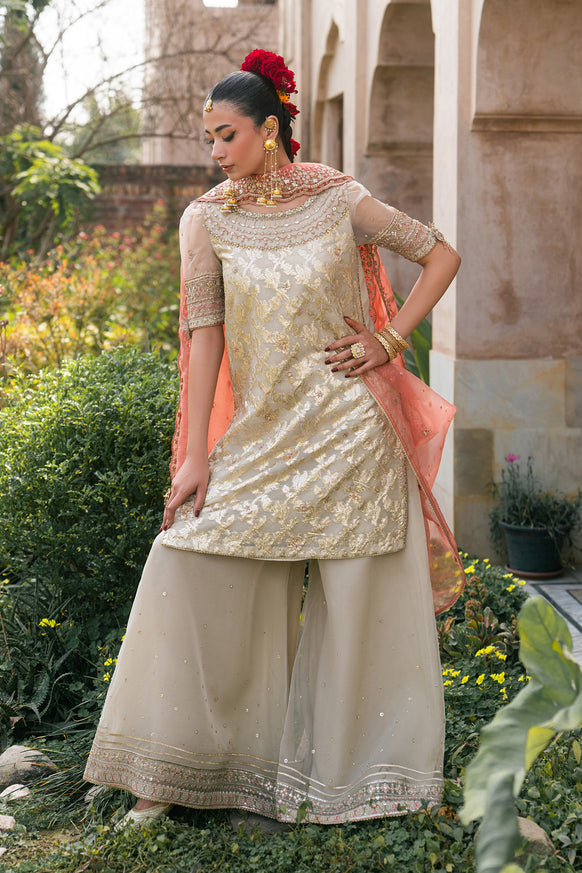 Naqshi | Tabeer Festive Dresses | Ablaaj - House Of Hania