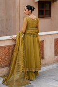 Naqshi | Tabeer Festive Dresses | Lehr - House Of Hania