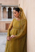 Naqshi | Tabeer Festive Dresses | Lehr - House Of Hania