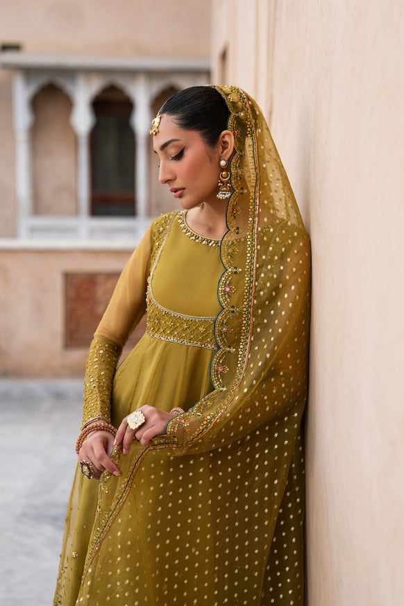 Naqshi | Tabeer Festive Dresses | Lehr - House Of Hania