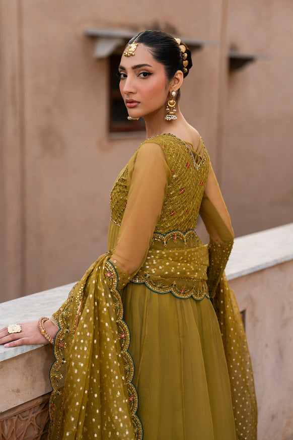 Naqshi | Tabeer Festive Dresses | Lehr - House Of Hania
