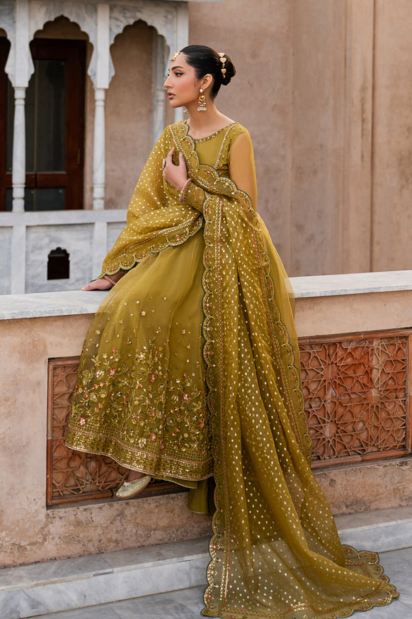 Naqshi | Tabeer Festive Dresses | Lehr - House Of Hania