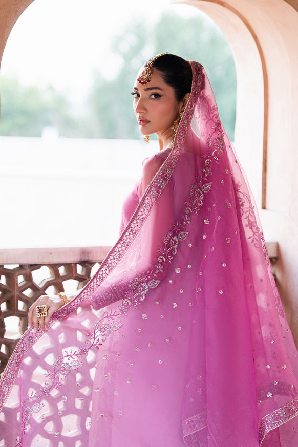 Naqshi | Tabeer Festive Dresses | Shams - House Of Hania