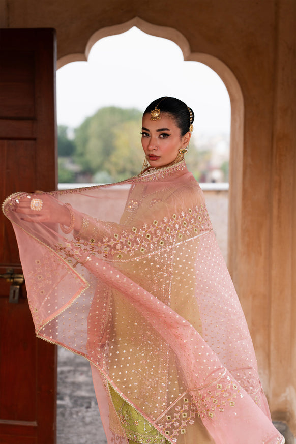 Naqshi | Tabeer Festive Dresses | Zaraan - House Of Hania