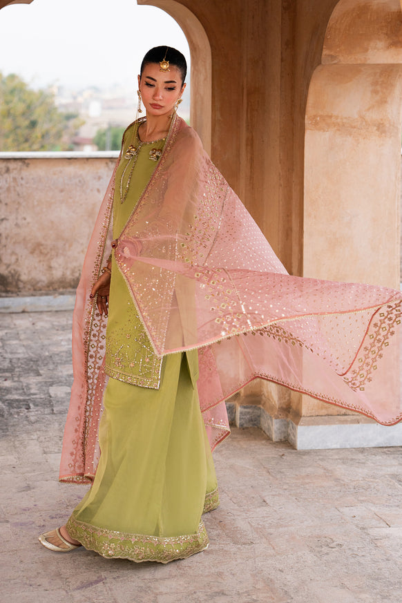Naqshi | Tabeer Festive Dresses | Zaraan - House Of Hania
