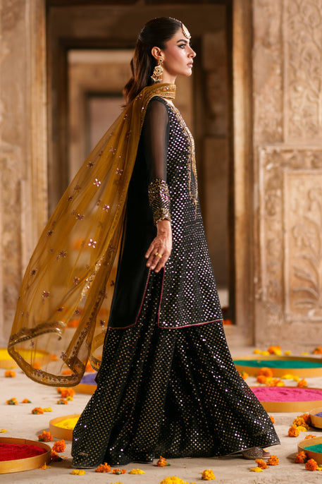 Naqshi | Zariah Crinkle Collection | Irra - House Of Hania