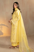Naqshi | Zark | Sheiza - House Of Hania