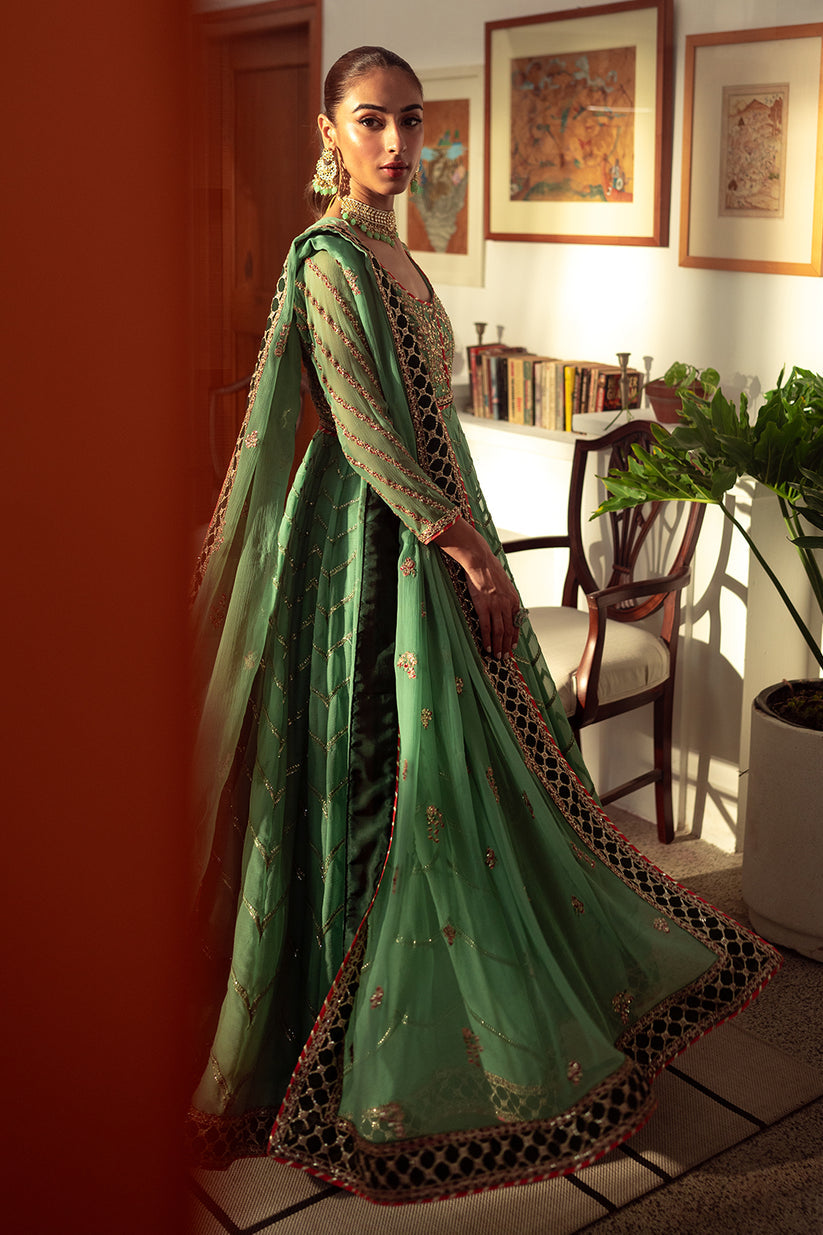 Neeshay | Dastaan Luxury Chiffon | Noreen - House Of Hania