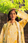 Neeshay | Summer Lines Printkari 25 | BUTTERCUP - House Of Hania