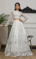 Net Embroidered Blouse and Skirt - House Of Hania