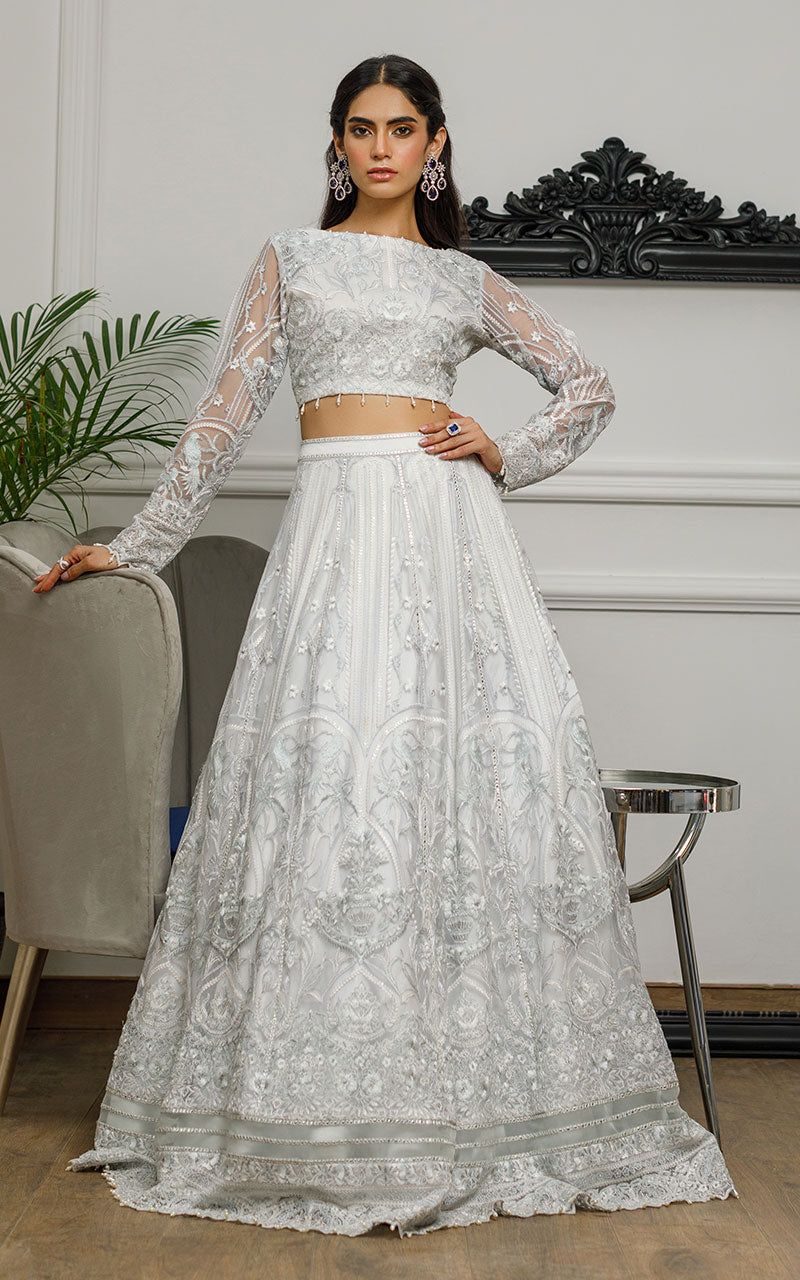 Net Embroidered Blouse and Skirt - House Of Hania