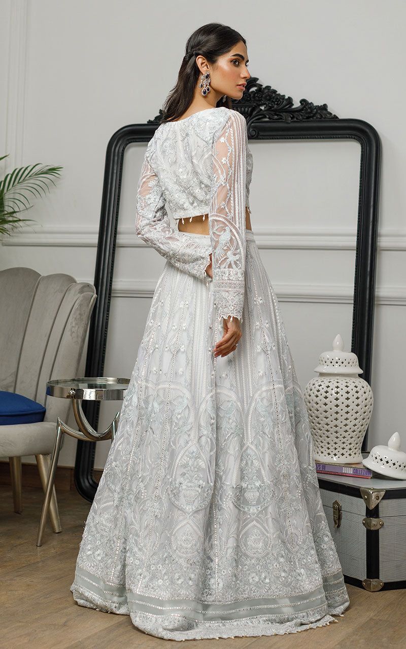Net Embroidered Blouse and Skirt - House Of Hania