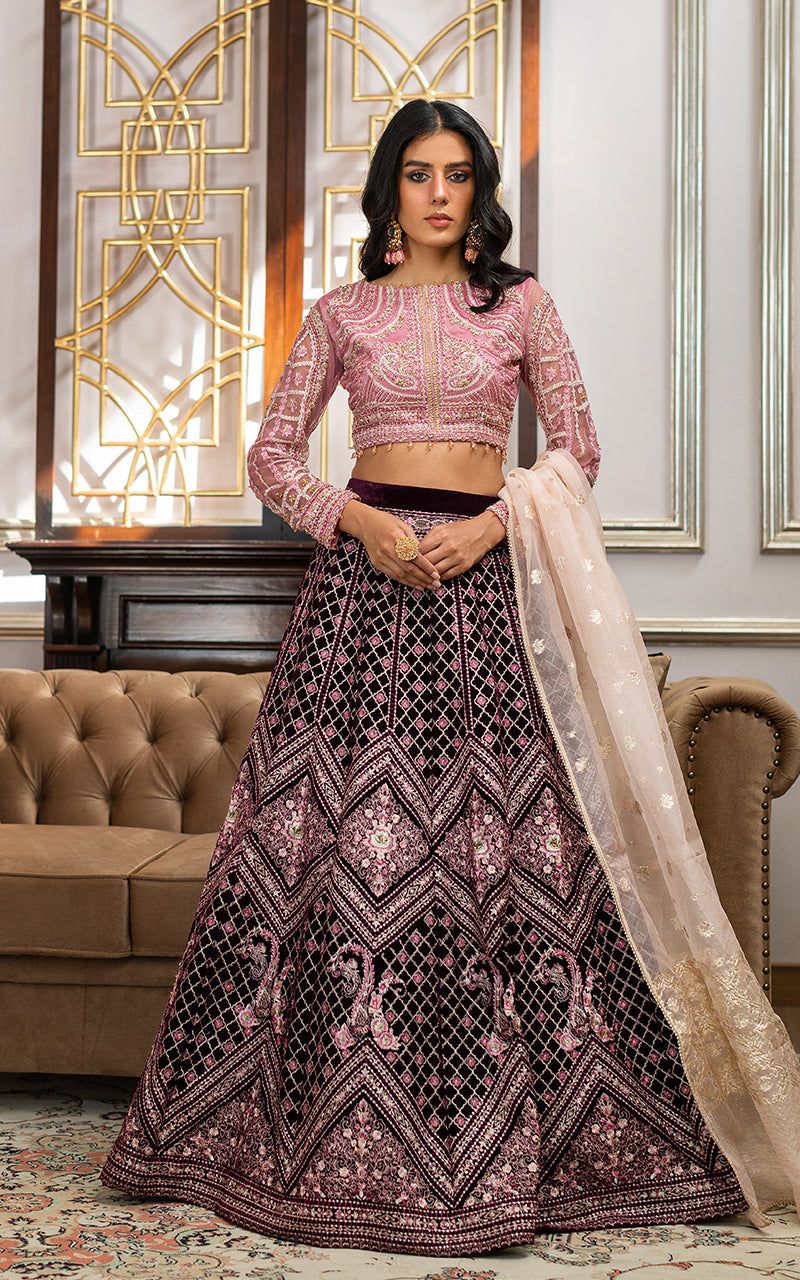 Net Embroidered Blouse and Velvet Lehanga - House Of Hania
