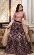 Net Embroidered Blouse and Velvet Lehanga - House Of Hania