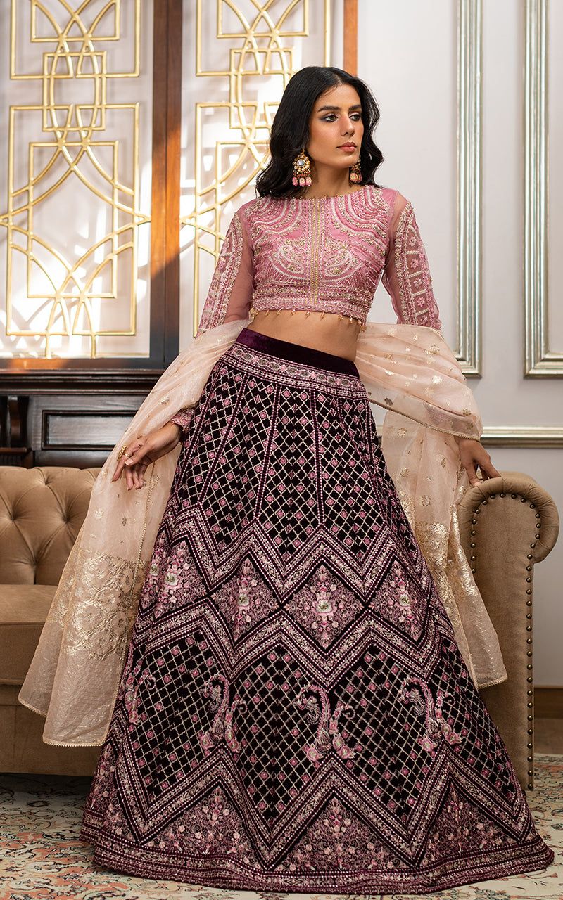 Net Embroidered Blouse and Velvet Lehanga - House Of Hania