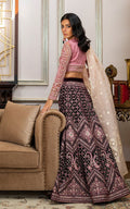 Net Embroidered Blouse and Velvet Lehanga - House Of Hania