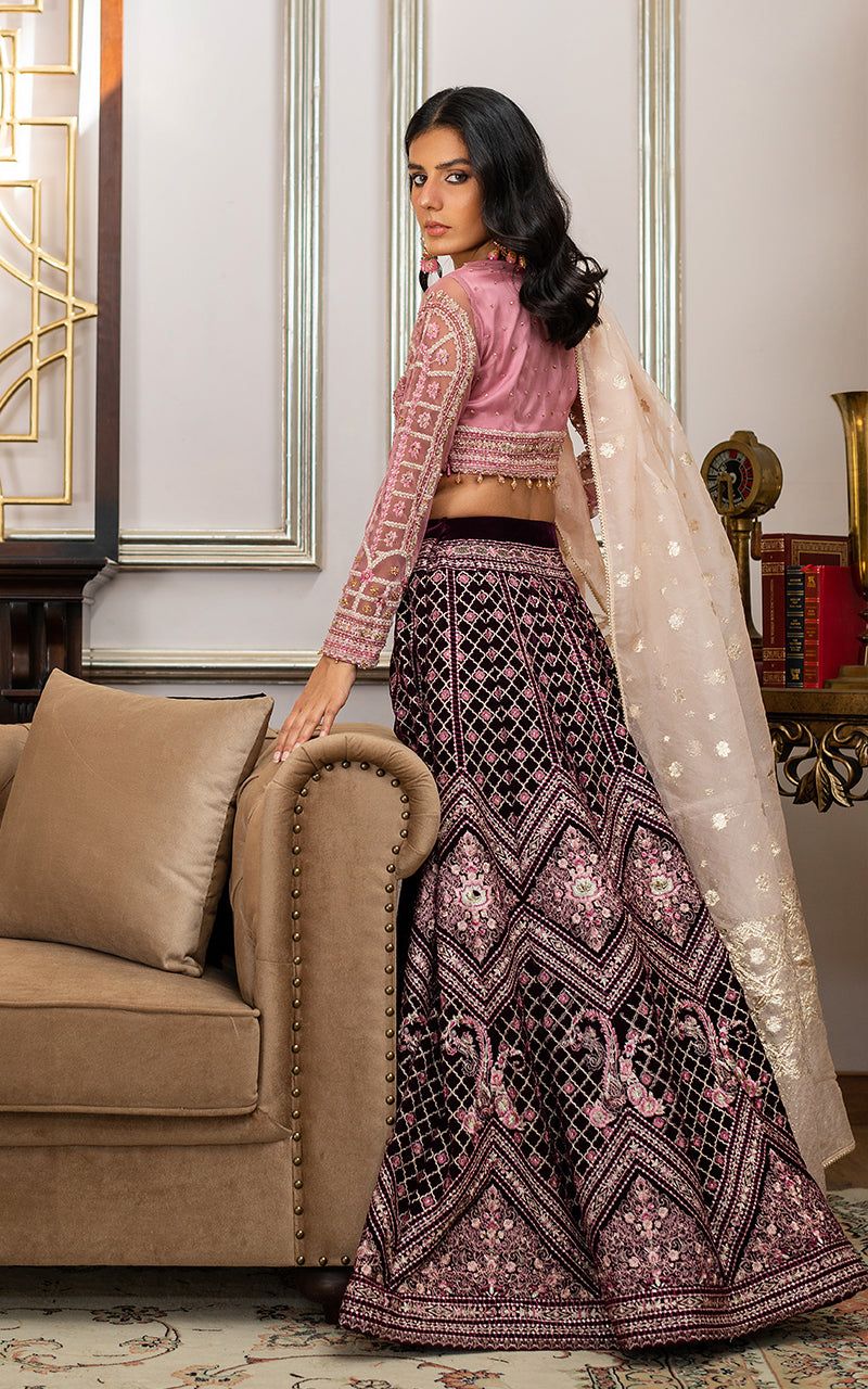 Net Embroidered Blouse and Velvet Lehanga - House Of Hania