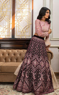 Net Embroidered Blouse and Velvet Lehanga - House Of Hania