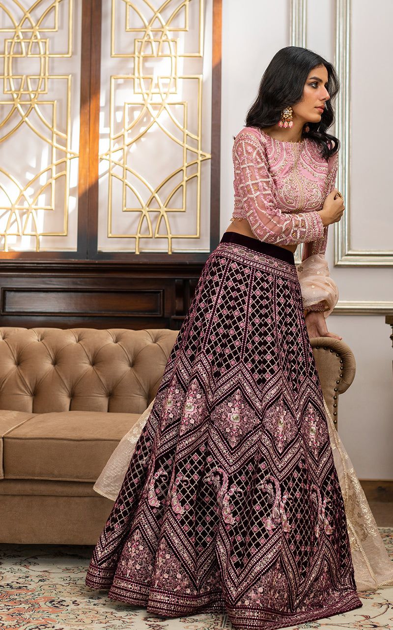 Net Embroidered Blouse and Velvet Lehanga - House Of Hania