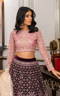 Net Embroidered Blouse and Velvet Lehanga - House Of Hania