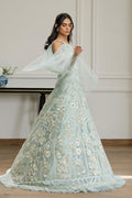 Net Embroidered Dress - House Of Hania