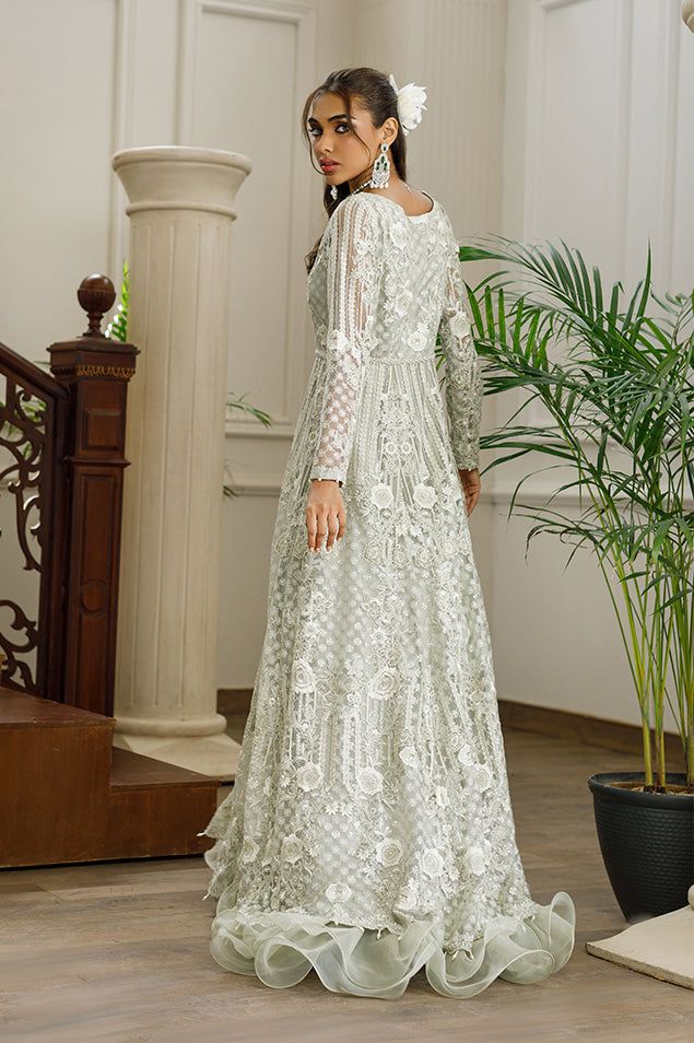 Net Embroidered Dress - House Of Hania