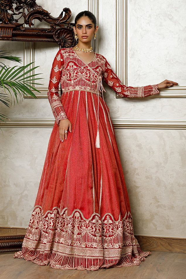 Net Embroidered Dress - House Of Hania