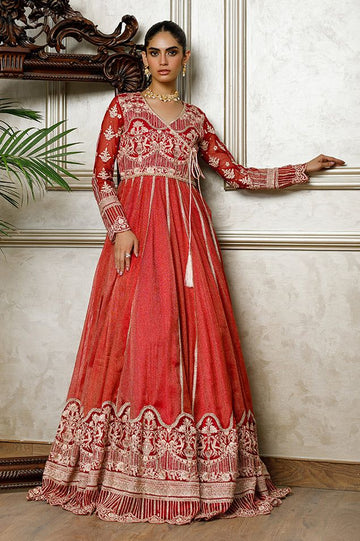 Net Embroidered Dress - House Of Hania