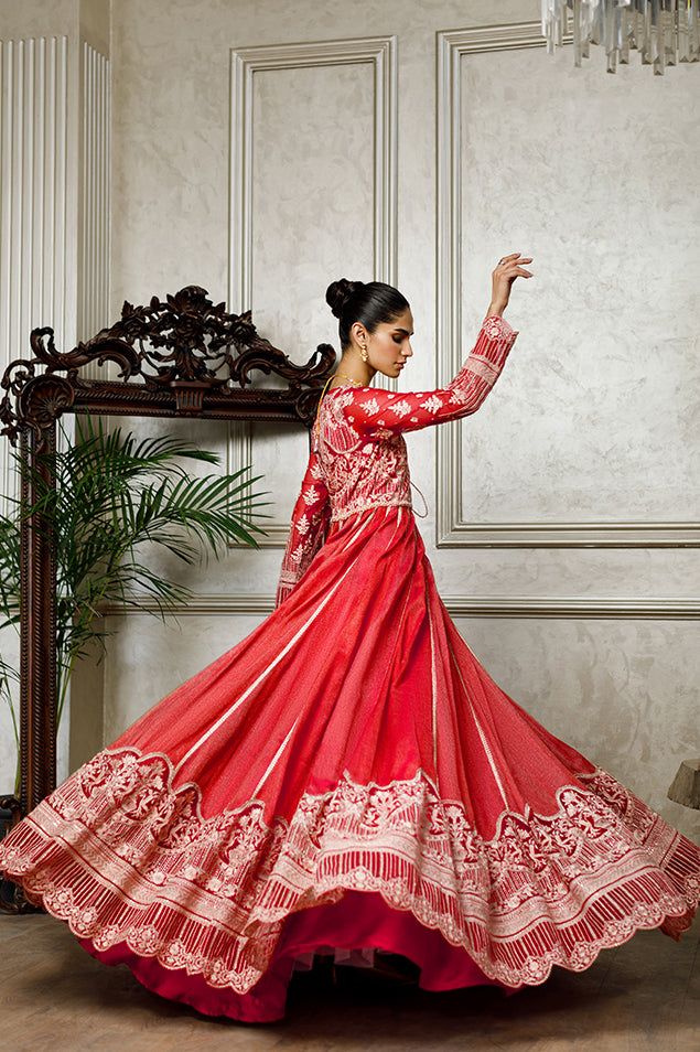 Net Embroidered Dress - House Of Hania