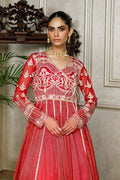 Net Embroidered Dress - House Of Hania