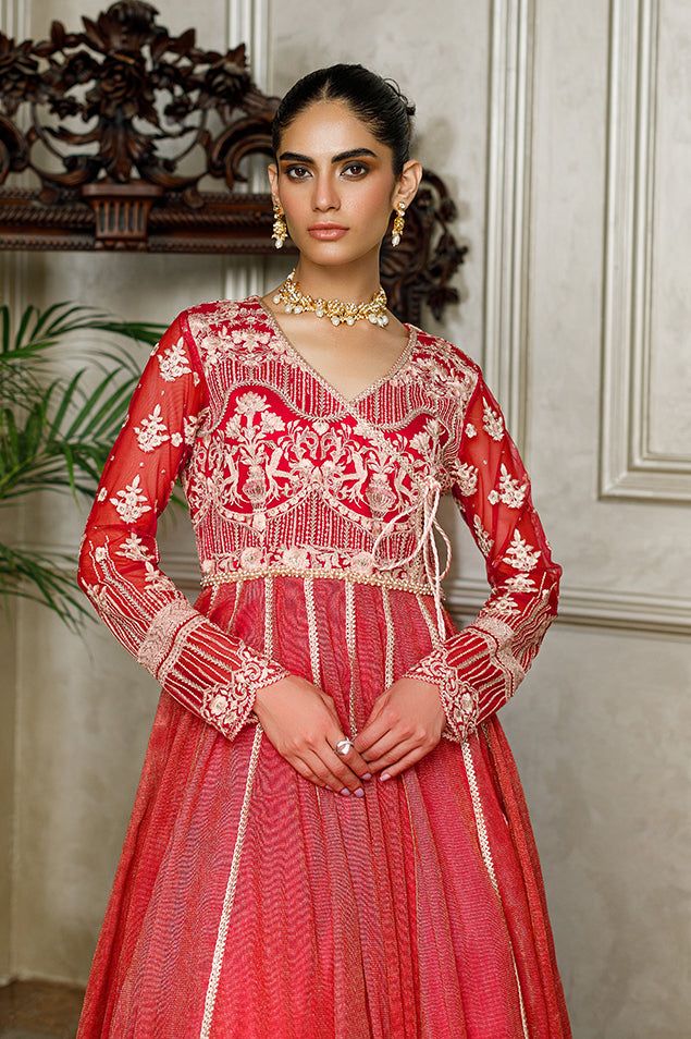 Net Embroidered Dress - House Of Hania