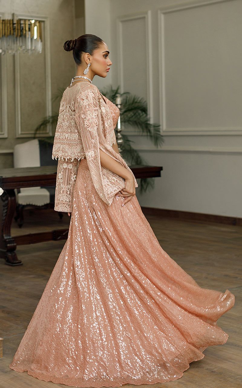 Net Embroidered Jacket With Skirt - House Of Hania