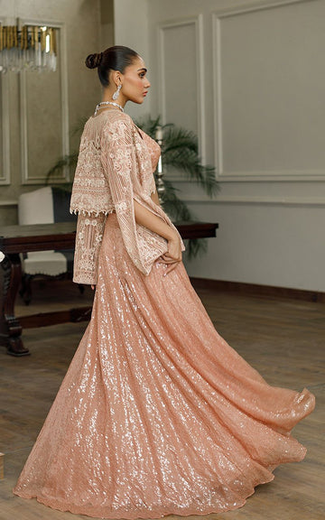 Net Embroidered Jacket With Skirt - House Of Hania