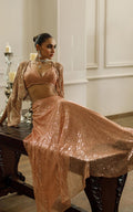 Net Embroidered Jacket With Skirt - House Of Hania