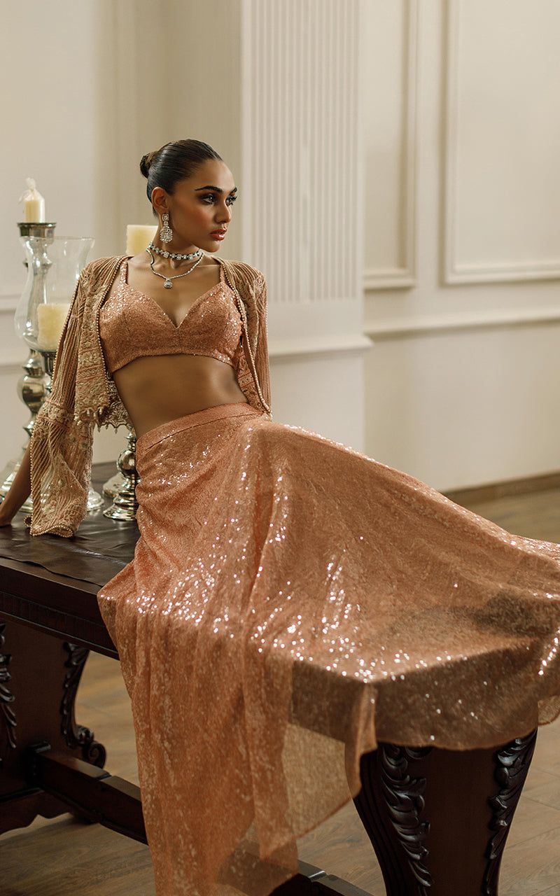 Net Embroidered Jacket With Skirt - House Of Hania