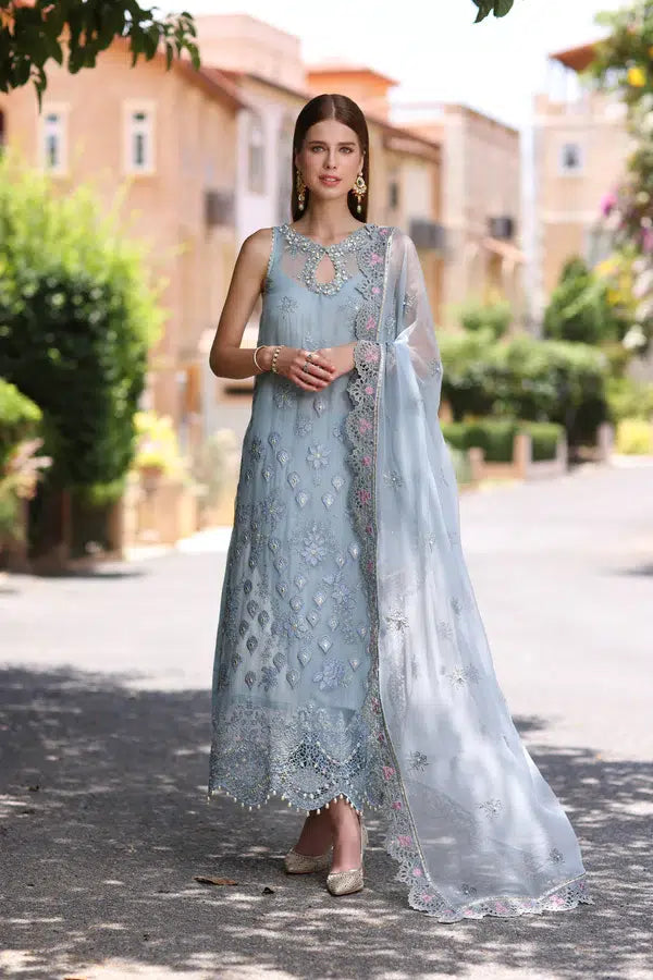 Noor by Saadia Asad | Chiffon Formals 23 | D1-Laira - House Of Hania