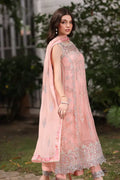 Noor by Saadia Asad | Chiffon Formals 23 | D2-Ekai - House Of Hania