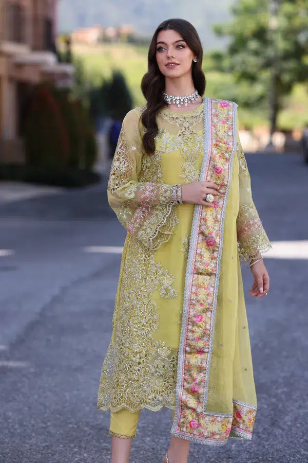 Noor by Saadia Asad | Chiffon Formals 23 | D4-Minali - House Of Hania