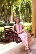 Noor by Saadia Asad | Eid Luxe Printkari 24 | D1 - House Of Hania