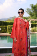 Noor by Saadia Asad | Eid Luxe Printkari 24 | D3 - House Of Hania