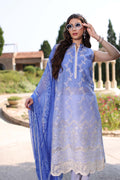 Noor by Saadia Asad | Eid Luxe Printkari 24 | D8 - House Of Hania
