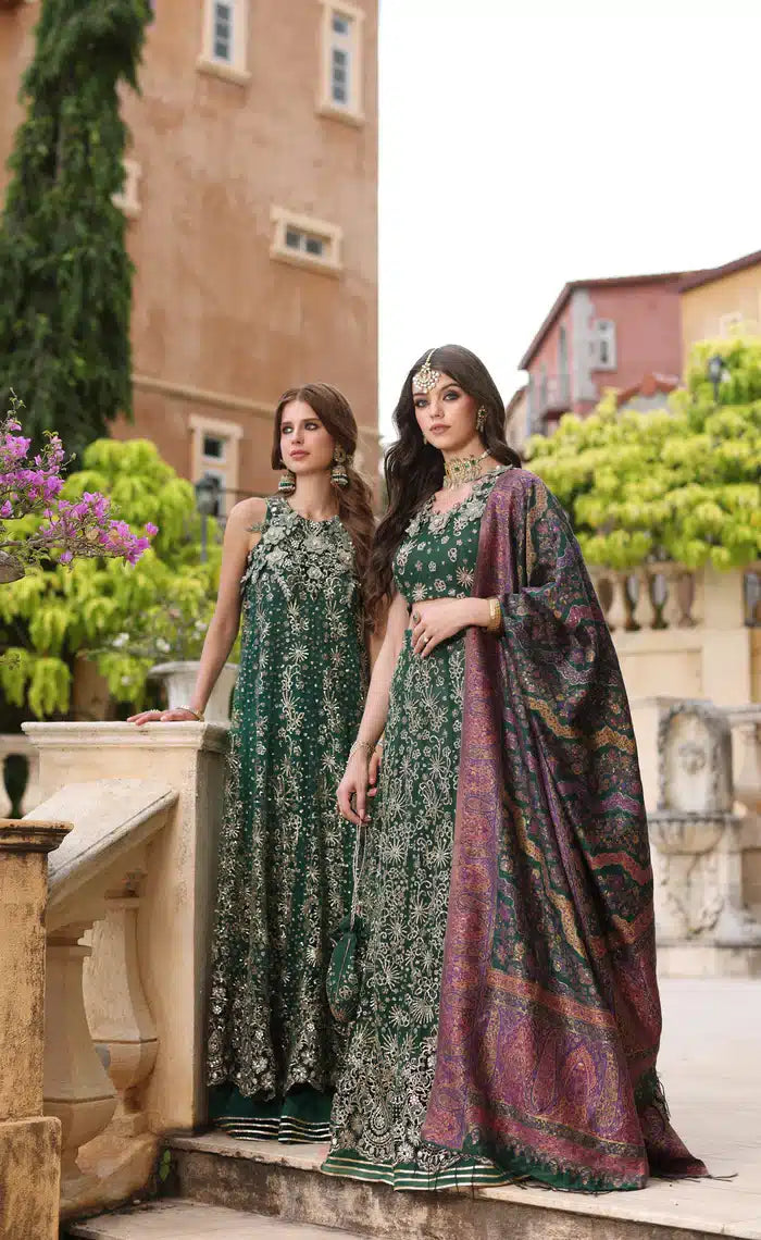 Noor by Saadia Asad | Kaani Wedding Formals 23 | D1 - House Of Hania