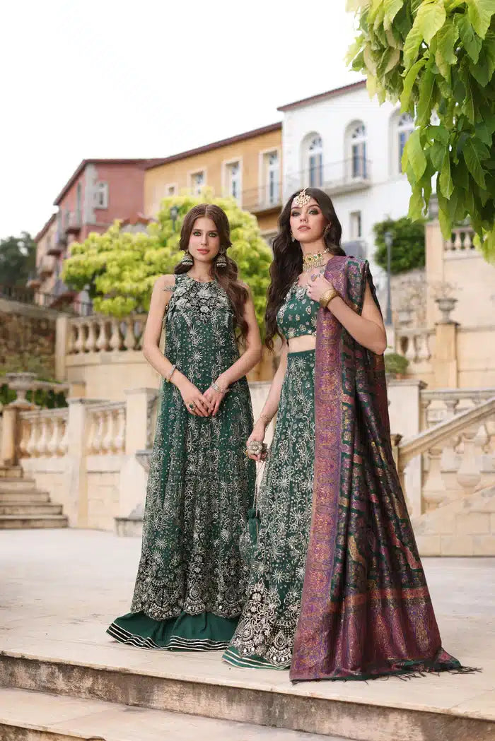 Noor by Saadia Asad | Kaani Wedding Formals 23 | D1 - House Of Hania